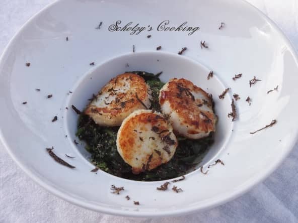 Saint Jacques sur lit d'épinards frais et truffe fraîche