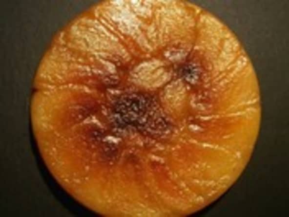 Tarte tatin fait maison