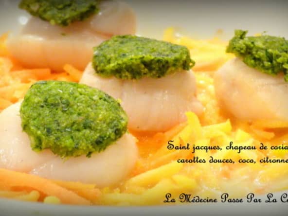 Saint jacques, chapeautées de coriandre, carottes douces