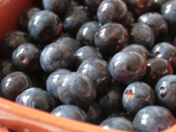 Crumble aux prunes Noberte, amandes effilées et sucre perlé