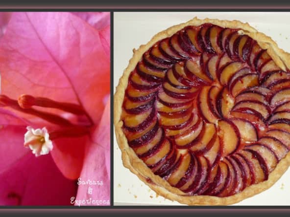 Recette de tarte aux prunes, miel et épices