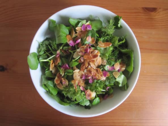 Salade de cresson