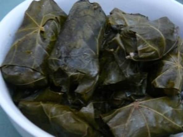 Feuilles de vigne farcies