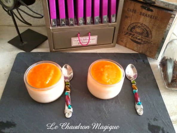 Panna cotta au melon et son coulis