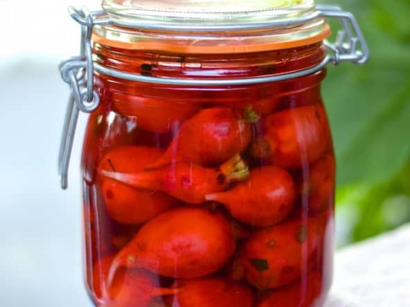 Pickles de radis