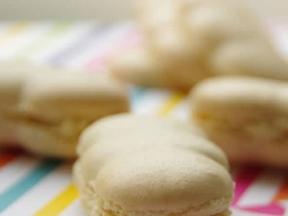 Macarons au chèvre et huile d'olive