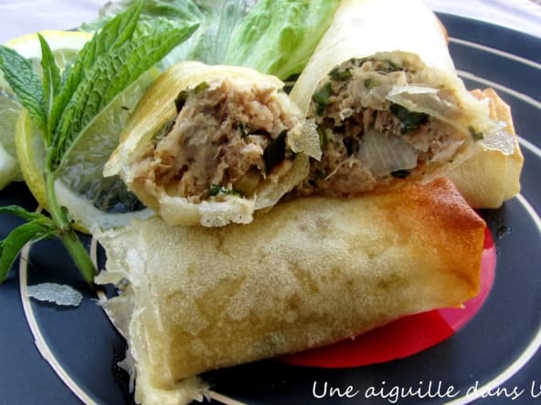 Croustillants de thon aux herbes fraîches