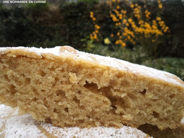 Le moelleux au son d'avoine et yaourt au soja