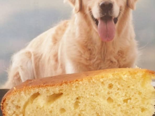 Gâteau à la ricotta