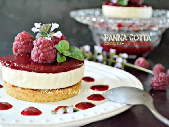 Panna cotta noix de coco sur cookies et framboise