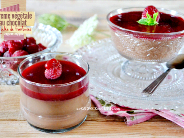 Creme dessert végétale au chocolat noir et framboise