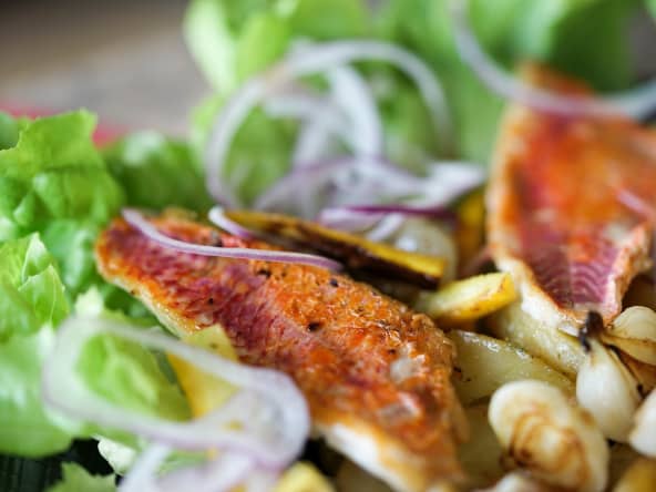 Assiette de filets de rougets, courgettes et oignons nouveaux