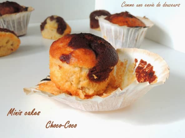 Mini cakes moelleux coco chocolat