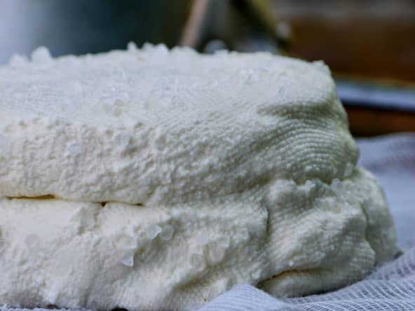 Ricotta maison