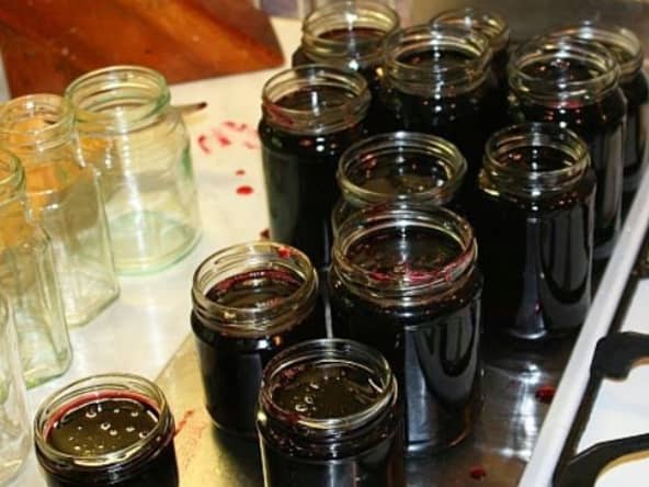 Gelée de baies de sureau noir