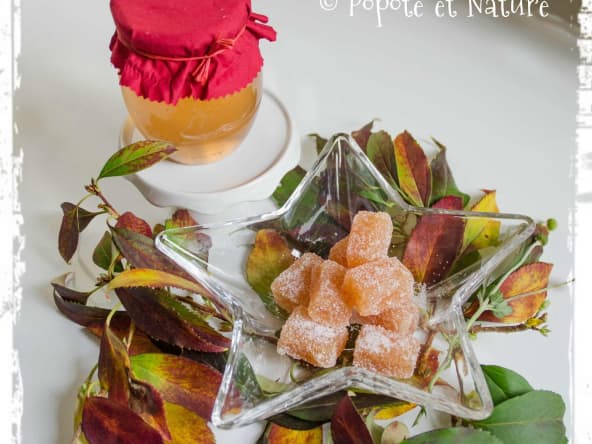 Gelée de coing et pâte de coing