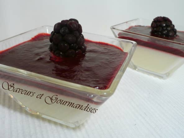 Panna Cotta et son miroir aux mûres