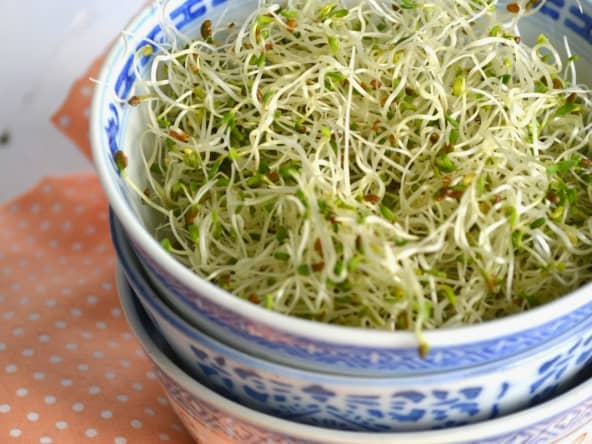 Les graines germées