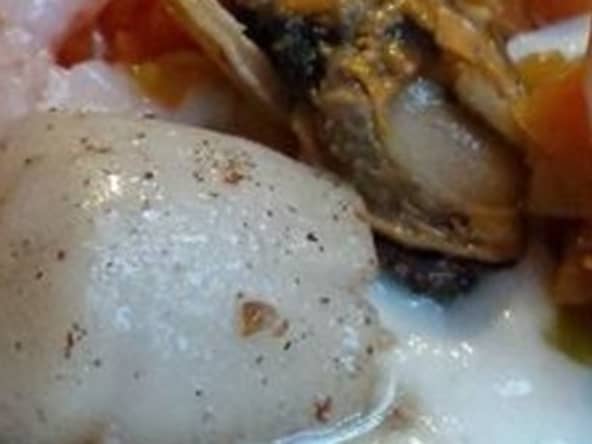 Coquille Saint-Jacques