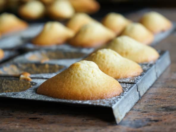 Madeleines juste sorties du four