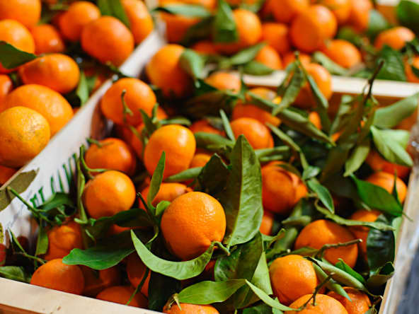 Clémentines en vrac