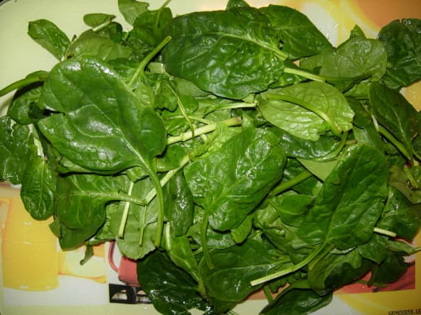 Pousses d'épinards