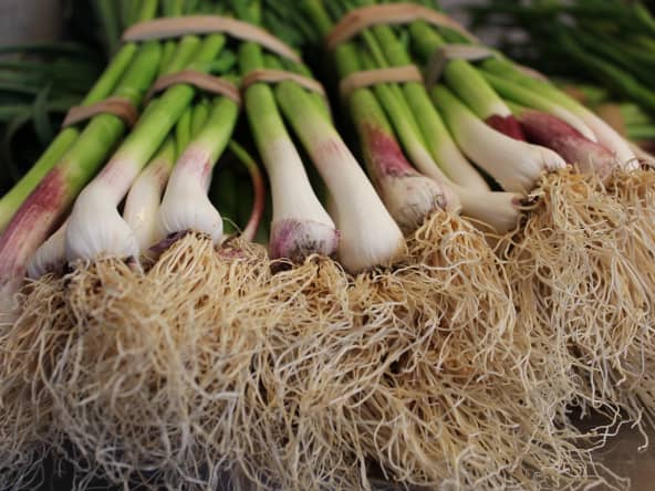 Bottes de ciboule