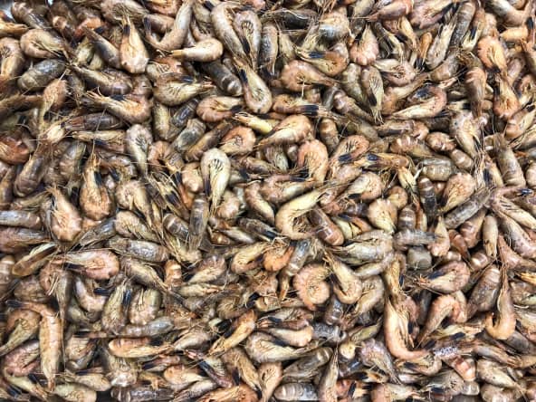Crevettes grises en vrac