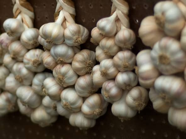 Tresses d'ail