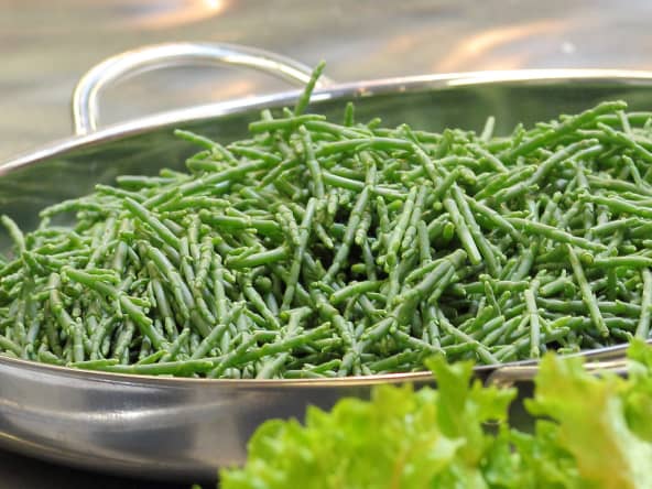 Salicorne dans un plat