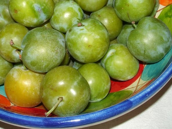 Reines-claudes dans un plat coloré