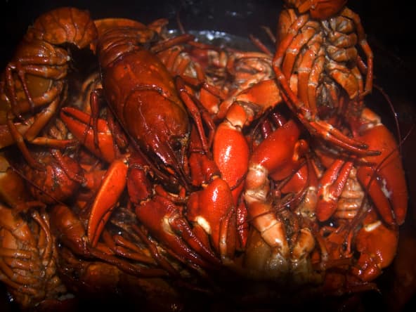 Ecrevisses de la Creuse