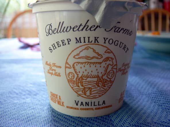 Pot de yaourt au lait de brebis