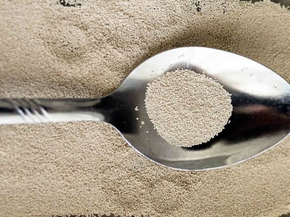 Levure déshydratée