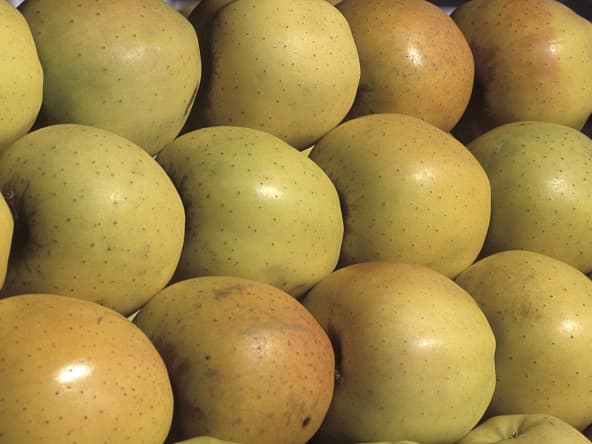 Pommes golden sur un étal