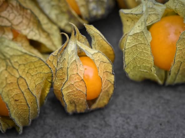Fruits de Physalis