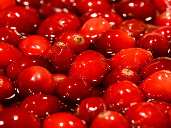Cranberries en vrac