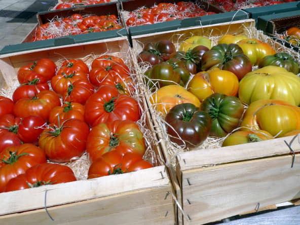 Assortiment de tomates en cageots