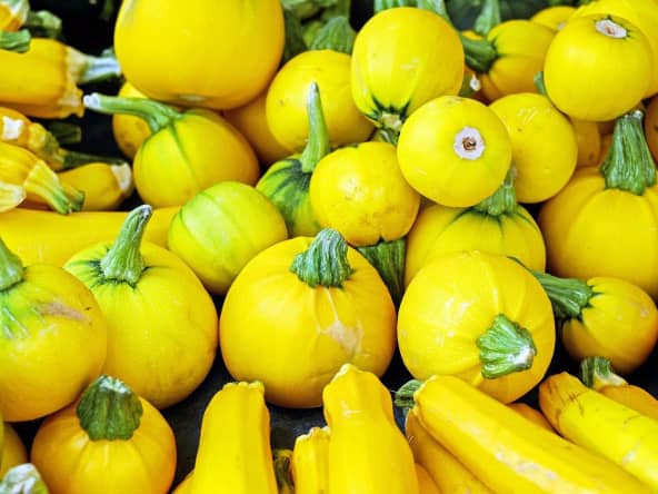 Courgettes jaunes