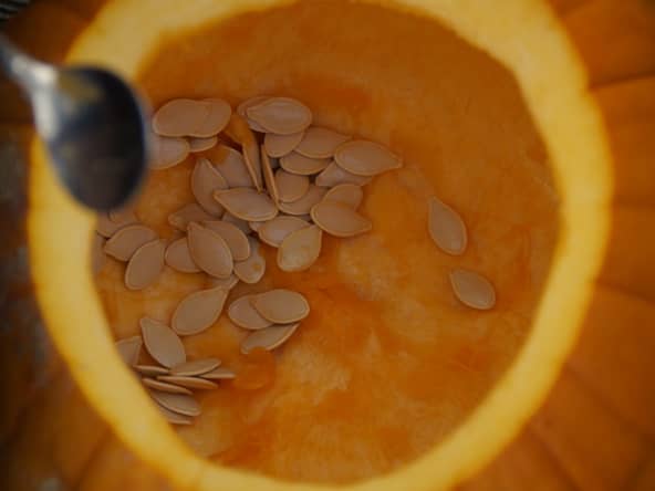 Graines de citrouille