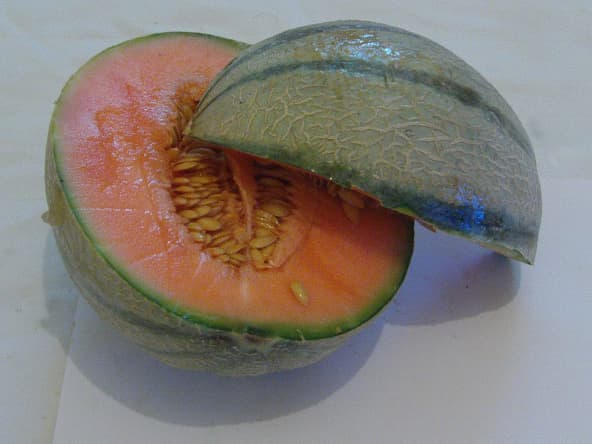 Melon coupé