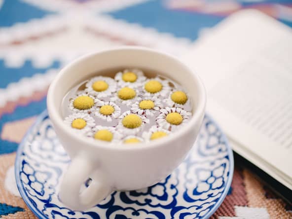 Tasses d'infusion camomille