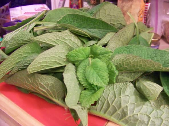 Mélisse fraichement cueillie