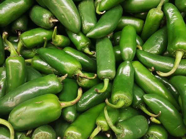 Piments verts Jalapeños 