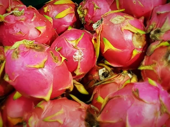 Fruits du dragon ou pitaya