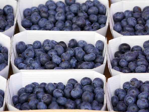 Barquettes de myrtilles