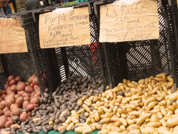 Rattes sur un marché