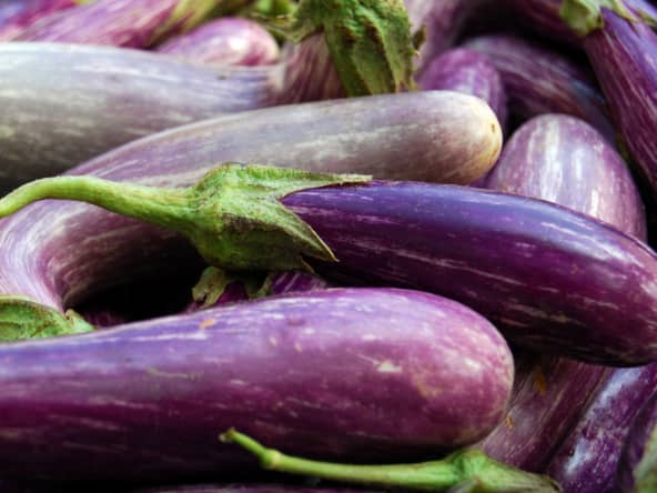 Aubergines