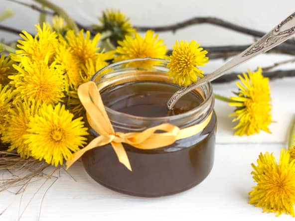 Pot de cramaillotte ou miel de fleurs de pissenlit