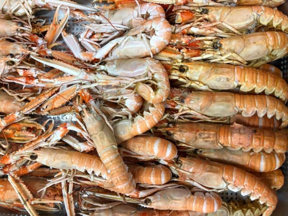 Langoustines crues